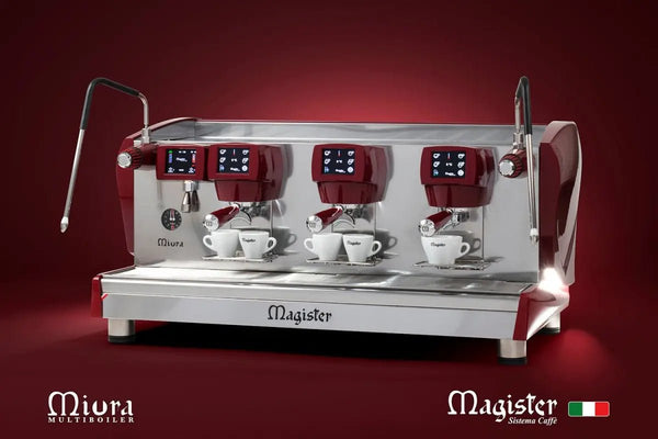 MAGISTER Sistema Caffe - Barista u Espresso