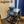 Sett ta' manku għal Sage Barista Touch Impress