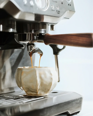Sett ta’ mankijiet għal Sage Barista Express, Pro & Touch - Barista u Espresso