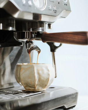 Portafilter för Sage Barista Serien (54 mm) - Barista och Espresso